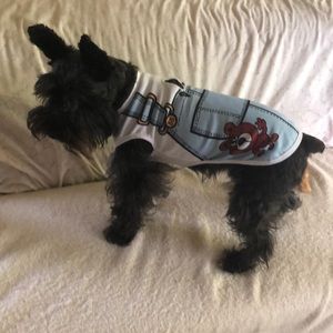 Baby Blue Overalls lightweight polyester Dog shirt